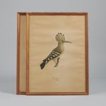 1341 8341 Grafiska blad